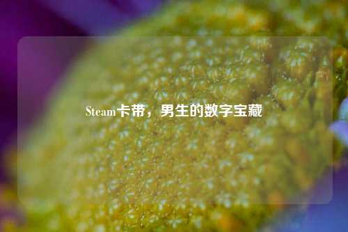 Steam卡带，男生的数字宝藏