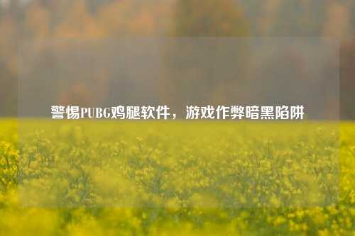 警惕PUBG鸡腿软件，游戏作弊暗黑陷阱
