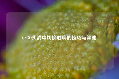 CSGO实战中切换盾牌的技巧与策略