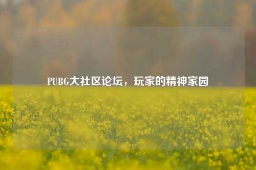 PUBG大社区论坛，玩家的精神家园