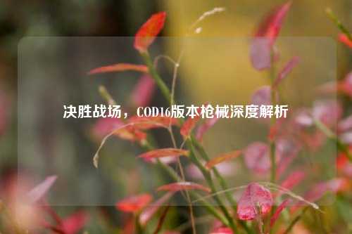 决胜战场，COD16版本枪械深度解析