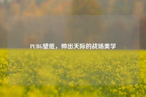 PUBG壁纸，帅出天际的战场美学