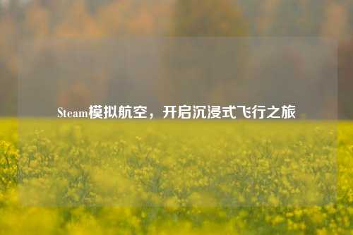 Steam模拟航空，开启沉浸式飞行之旅