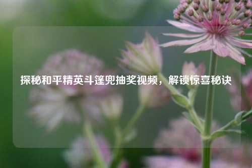 探秘和平精英斗篷兜抽奖视频，解锁惊喜秘诀