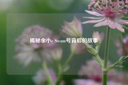 揭秘余小c Steam号背后的故事