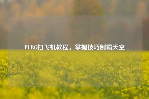 PUBG扫飞机教程,掌握技巧制霸天空
