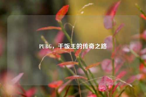 PUBG,干饭王的传奇之路
