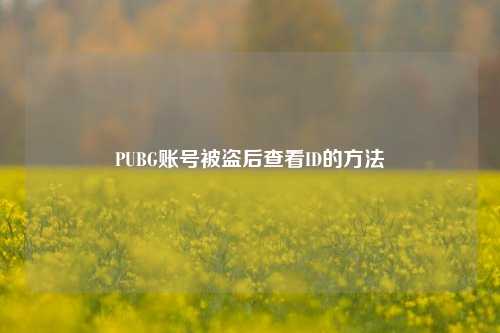 PUBG账号被盗后查看ID的方法