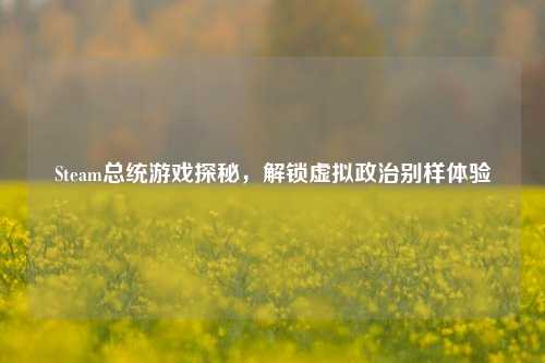 Steam总统游戏探秘，解锁虚拟政治别样体验