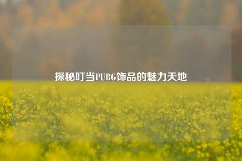 探秘叮当PUBG饰品的魅力天地