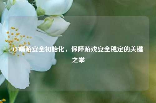 CF端游安全初始化，保障游戏安全稳定的关键之举