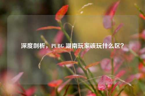 深度剖析，PUBG 湖南玩家该玩什么区？
