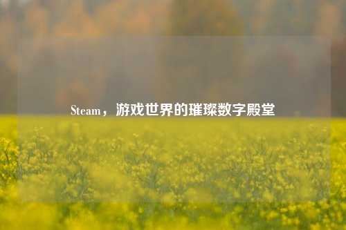 Steam，游戏世界的璀璨数字殿堂