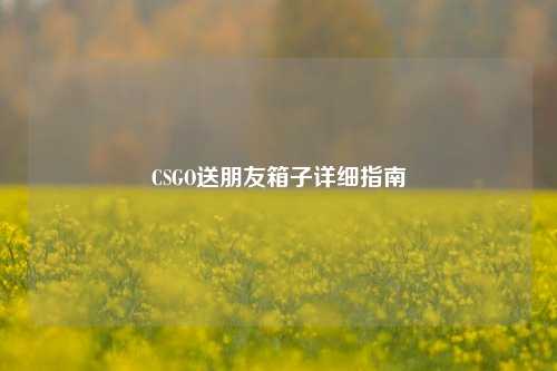 CSGO送朋友箱子详细指南