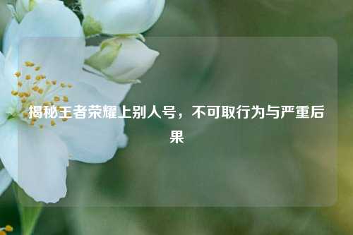 揭秘王者荣耀上别人号，不可取行为与严重后果
