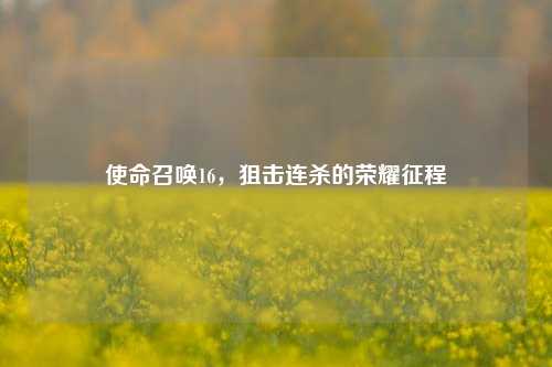 使命召唤16，狙击连杀的荣耀征程