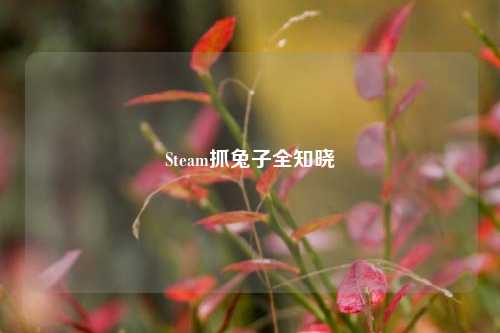 Steam抓兔子全知晓