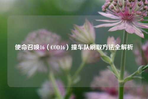 使命召唤16（COD16）撞车队刷取方法全解析