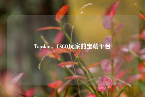 Topskin，CSGO玩家的宝藏平台