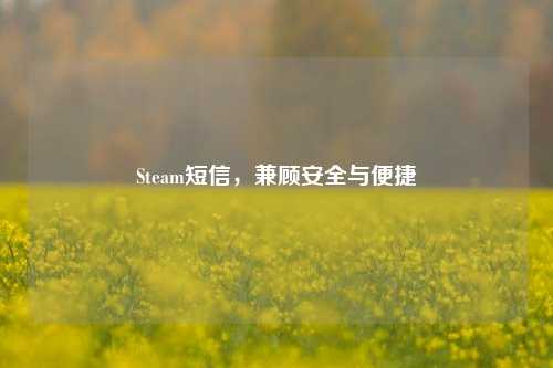Steam短信，兼顾安全与便捷