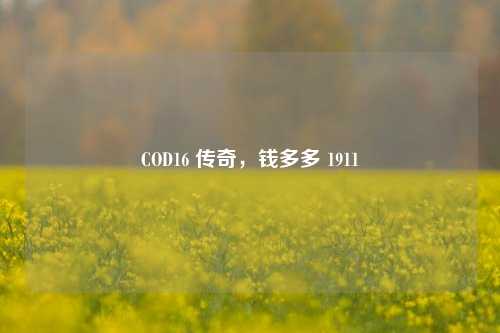 COD16 传奇，钱多多 1911