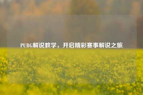 PUBG解说教学，开启精彩赛事解说之旅