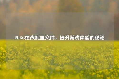 PUBG更改配置文件，提升游戏体验的秘籍