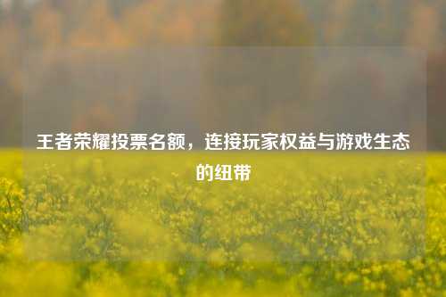 王者荣耀投票名额，连接玩家权益与游戏生态的纽带