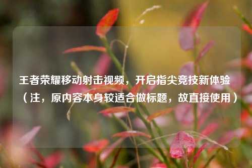 王者荣耀移动射击视频，开启指尖竞技新体验 （注，原内容本身较适合做标题，故直接使用）