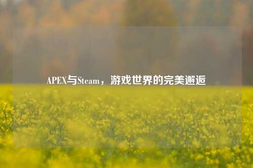 APEX与Steam，游戏世界的完美邂逅