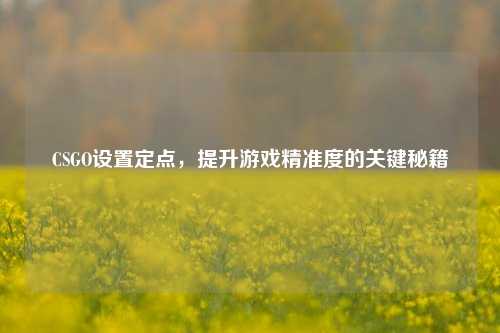 CSGO设置定点，提升游戏精准度的关键秘籍