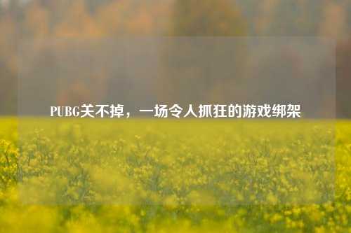 PUBG关不掉，一场令人抓狂的游戏绑架