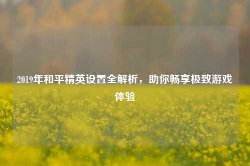 2019年和平精英设置全解析，助你畅享极致游戏体验