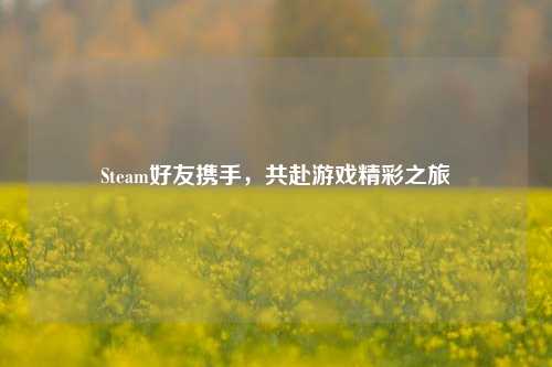 Steam好友携手，共赴游戏精彩之旅