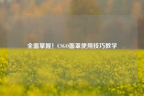 全面掌握！CSGO面罩使用技巧教学