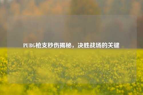 PUBG枪支秒伤揭秘，决胜战场的关键