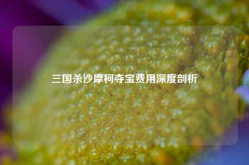 三国杀沙摩柯夺宝费用深度剖析