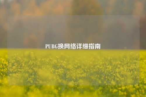 PUBG换网络详细指南