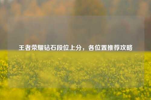王者荣耀钻石段位上分，各位置推荐攻略