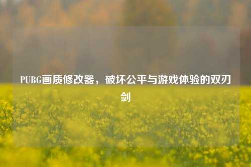PUBG画质修改器，破坏公平与游戏体验的双刃剑