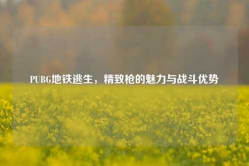 PUBG地铁逃生，精致枪的魅力与战斗优势
