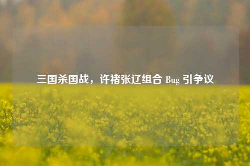 三国杀国战，许褚张辽组合 Bug 引争议