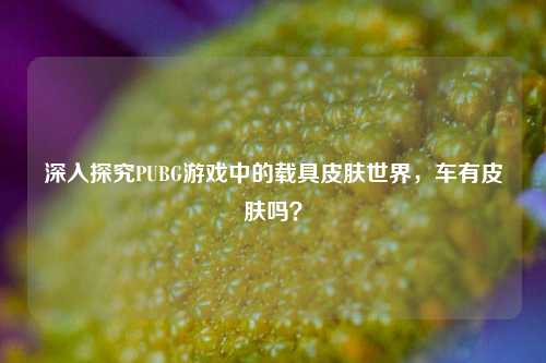 深入探究PUBG游戏中的载具皮肤世界，车有皮肤吗？