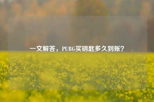 一文解答，PUBG买钥匙多久到账？
