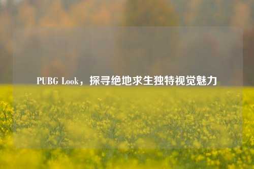 PUBG Look，探寻绝地求生独特视觉魅力