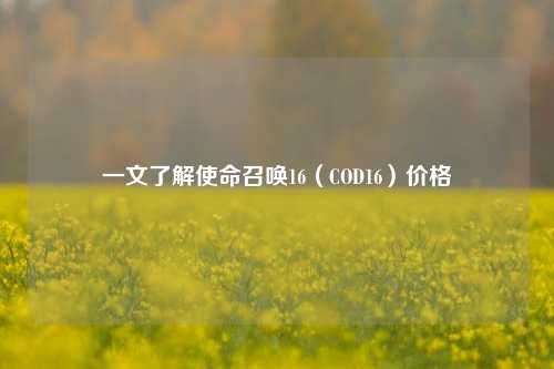 一文了解使命召唤16（COD16）价格