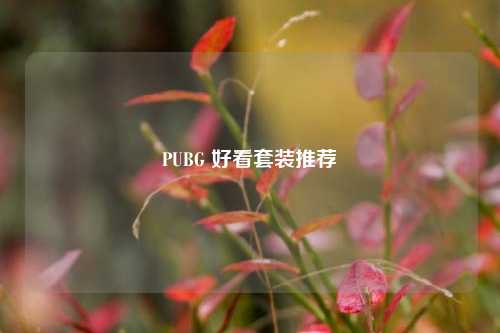 PUBG 好看套装推荐