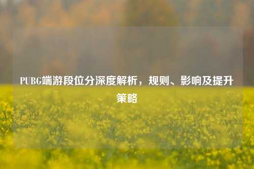 PUBG端游段位分深度解析，规则、影响及提升策略
