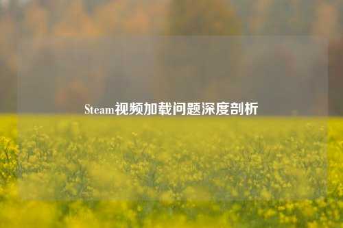 Steam视频加载问题深度剖析