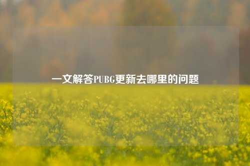 一文解答PUBG更新去哪里的问题